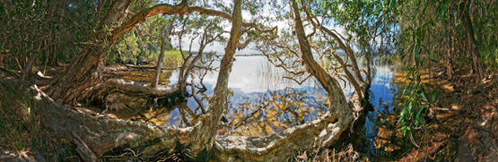 LM LUMIX Life 01103 to 01121 Stitch_sml