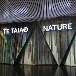 Museum of New Zealand | Te Papa Tongarewa Exhibition  Comes to Life...