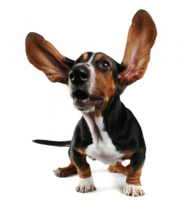 Alfred Ears