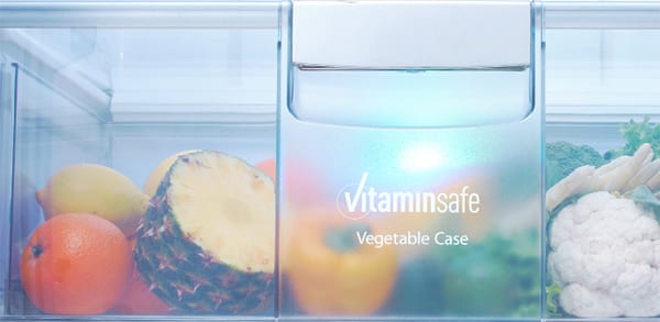 VITAMIN SAFE CASE