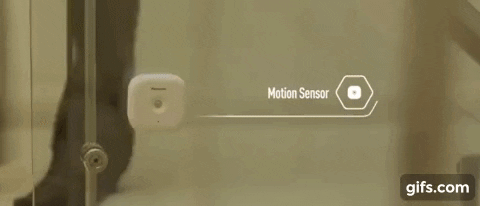 gif-motion-sensor-light-downstairs