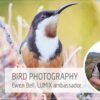 Bird photography Q&A with LUMIX ambassador, Ewen Bell