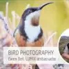 Bird photography Q&A with LUMIX ambassador, Ewen Bell
