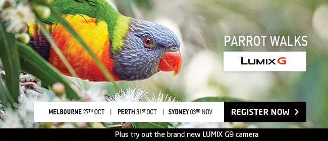 Panasonic LUMIX Parrot Walks in Melbourne, Perth and Sydney