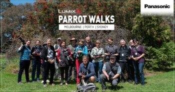 Highlights from the LUMIX Parrot Walks