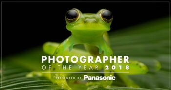 ICYMI: Winners from 2018 Photographer of the Year