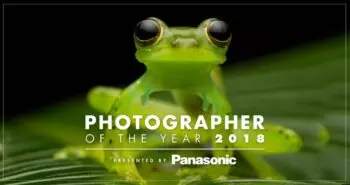 https://blogs.panasonic.com.au/consumer/media/2019/02/FB_POTY-350x185.jpg.webp