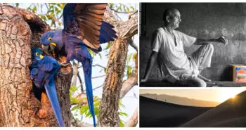 Darran Leal’s photo tips for landscapes, birds, people and cultures