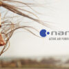 Stay Safe and Healthy Indoors this Winter with nanoe™ X