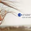 Stay Safe and Healthy Indoors this Winter with nanoe™ X