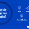 Infographic: The Benefits of Clean Air
