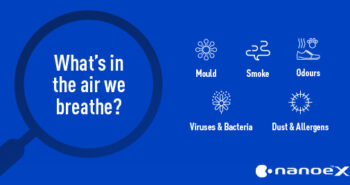 Infographic: The Benefits of Clean Air