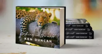 Walking in the Wild with Ken Duncan