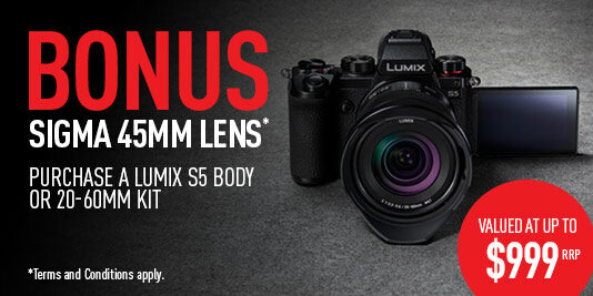 Bonus 45mm Lens with LUMIX S5