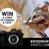 Birding With LUMIX Photo Competition