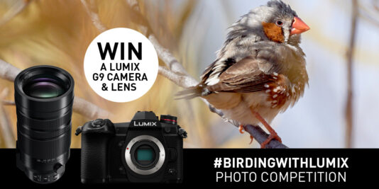 Birding With LUMIX Photo Competition