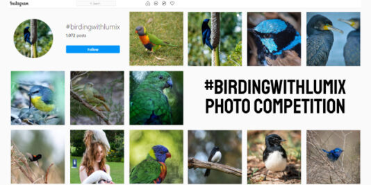 Birding with LUMIX Photo Competition Winner