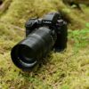 LUMIX G9II Review Round-up