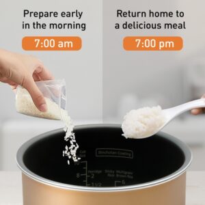 rice cooker delay timer