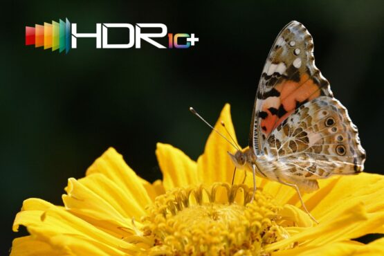 HDR 10+ Compatibility